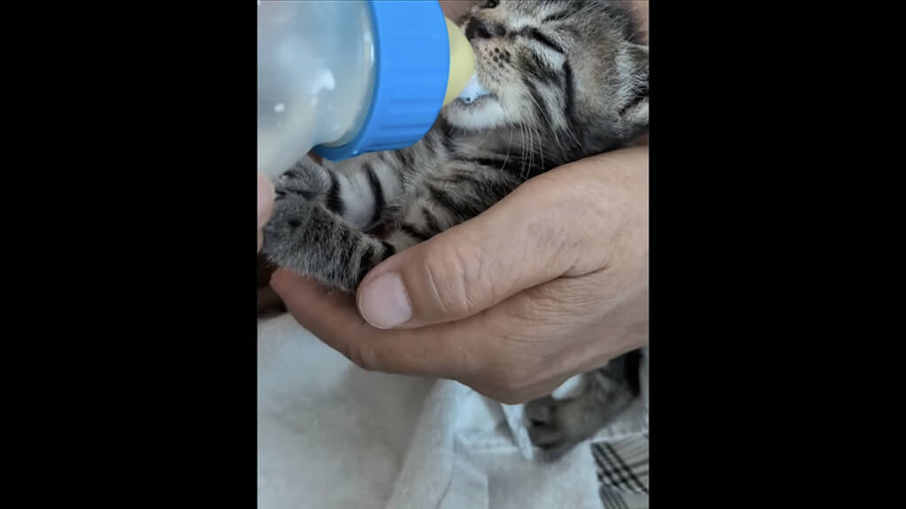 保護してもらえて良かった……
