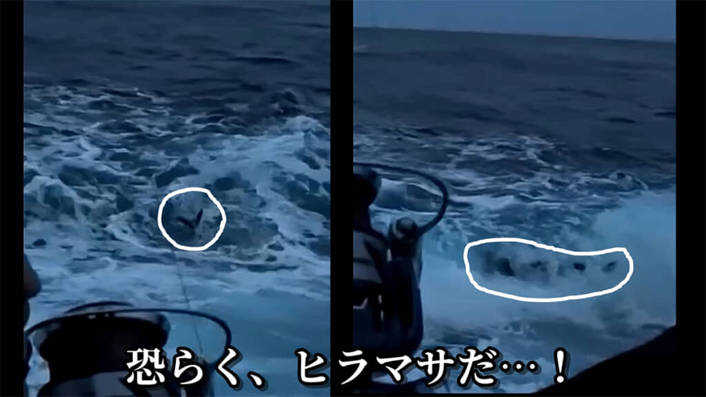 恐らくヒラマサだと思われる魚に逃げられてしまいました