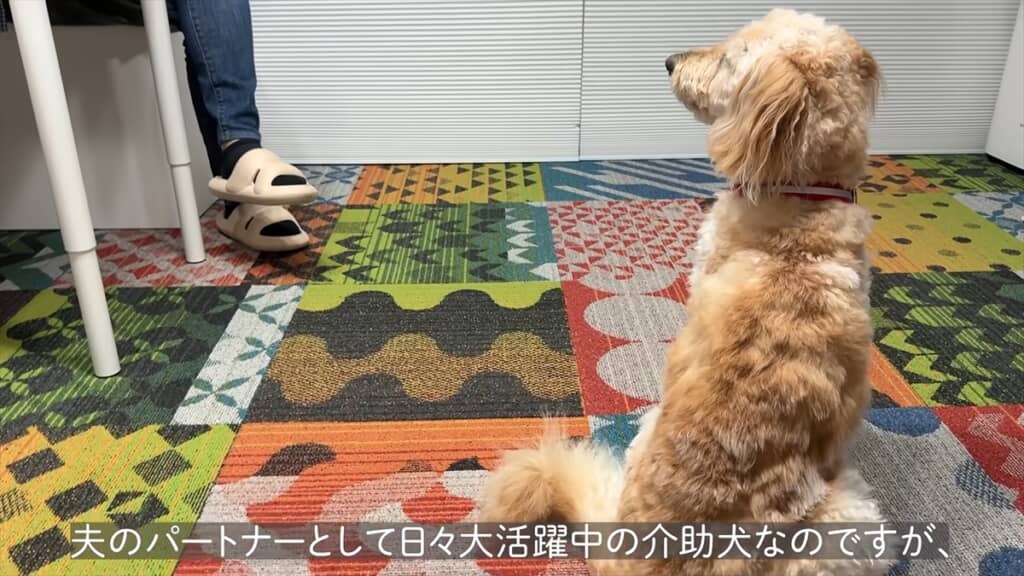 6畳1Kの狭小マンションで暮らす夫婦と愛犬