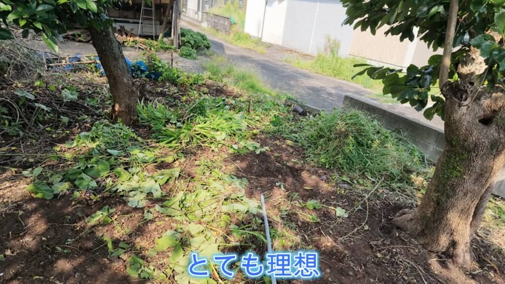 息子の手でキレイになった庭の一角
