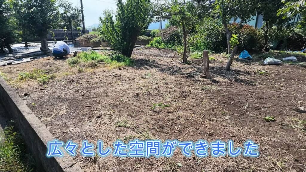 草や木を取り除きスッキリした空間ができた庭