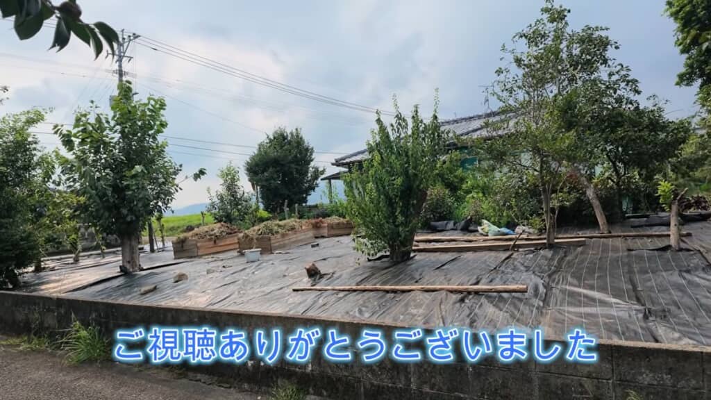 いくつかの庭木だけを残し非常にスッキリした状態となった庭