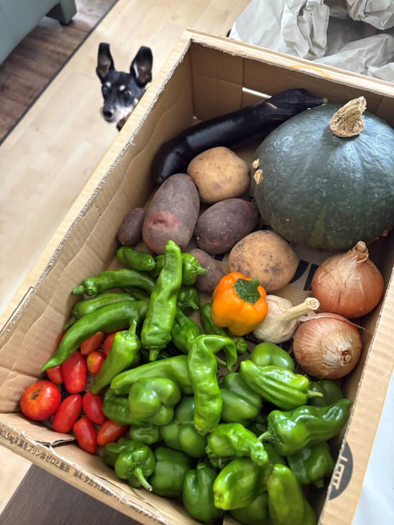 半分は冷凍、半分はお裾分けに