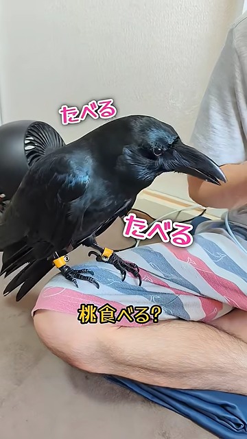 テンション上がり中なナミちゃん