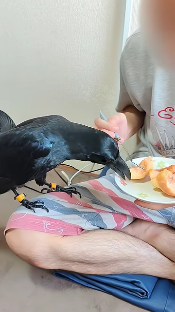 試食、開始！