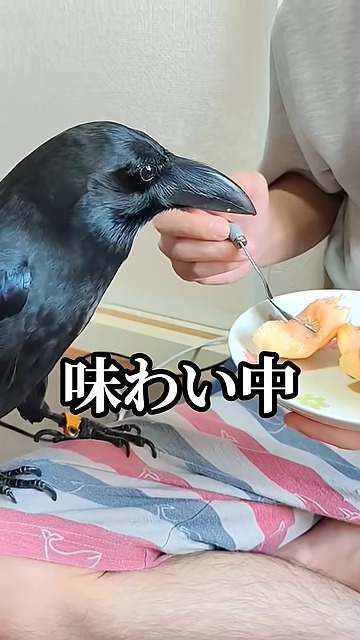 ナミちゃん「ほう……これは……」