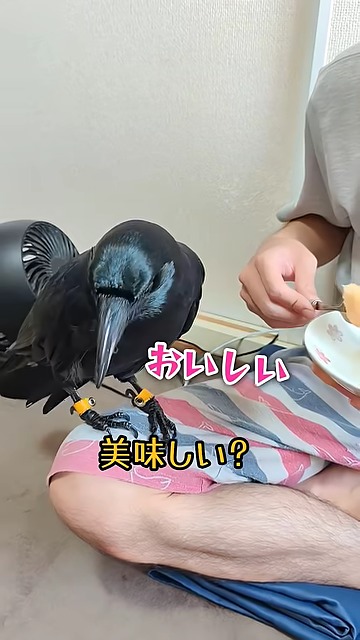 ナミちゃん「ウン、オイシイヨ……」