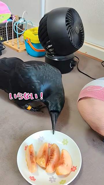 好みには若干うるさいもよう