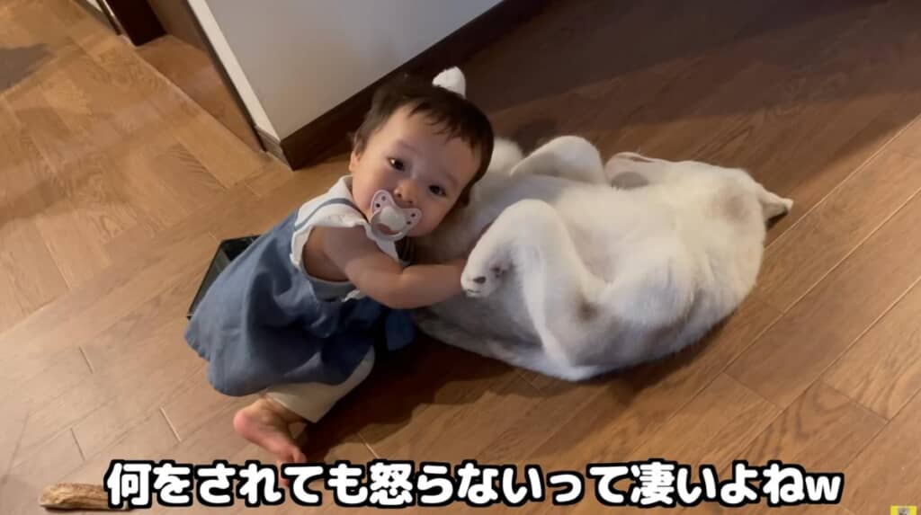 優しい性格のにこちゃん