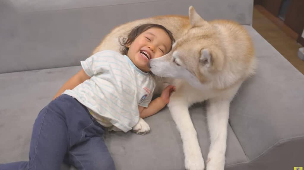 本当の姉妹のようです