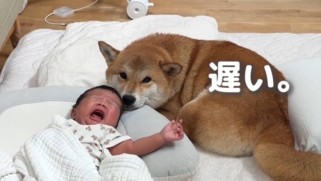 圧が……