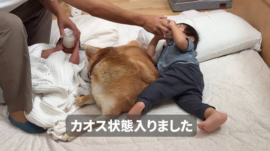 まさにカオス