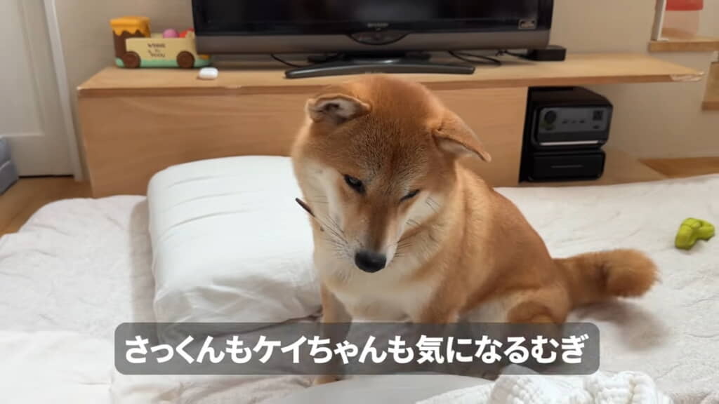 どちらも気になってしまいます
