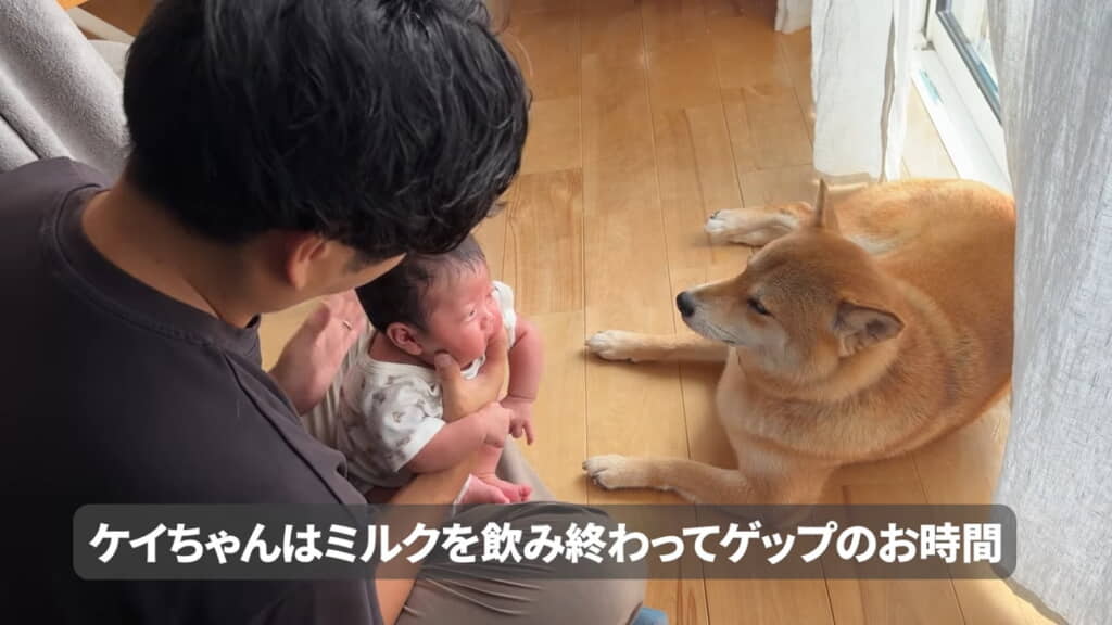 ゲップまでしっかりと見守ってくれました
