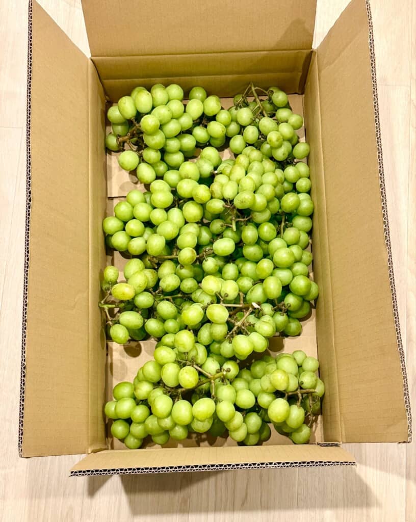 義父から届いた大量のシャインマスカット