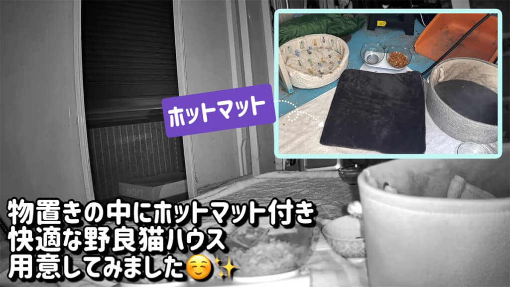 豪