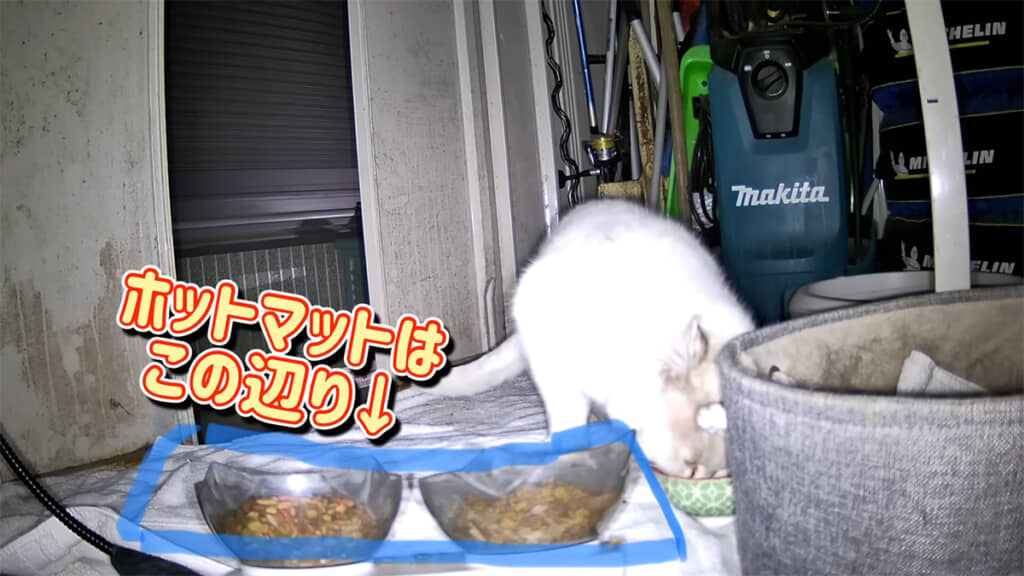 ホットマットに気付いていない様子のマシロさん