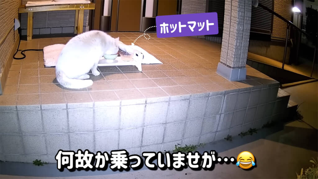 場所を移動してもホットマットに乗らず