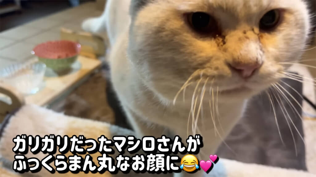 マシロさんが女将さんに近付いてきました