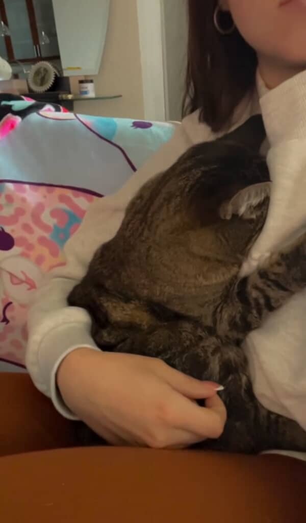 プリンセスは飼い主さんの胸に顔をうずめました…