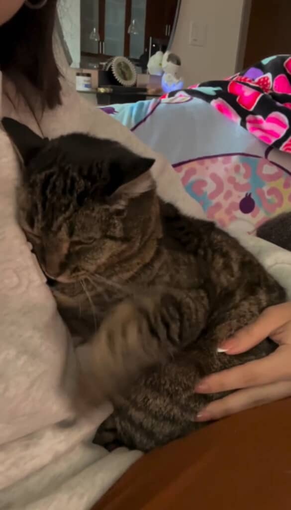 飼い主さんのそばが一番安心するね