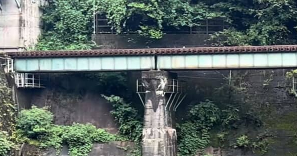 ごく普通の田舎の川辺を写した1枚、かと思ったら……「す、す、すごい」 想像を超えた“目を疑う光景”に「とにかく凄すぎる」(1/2) | 写真 ねとらぼ