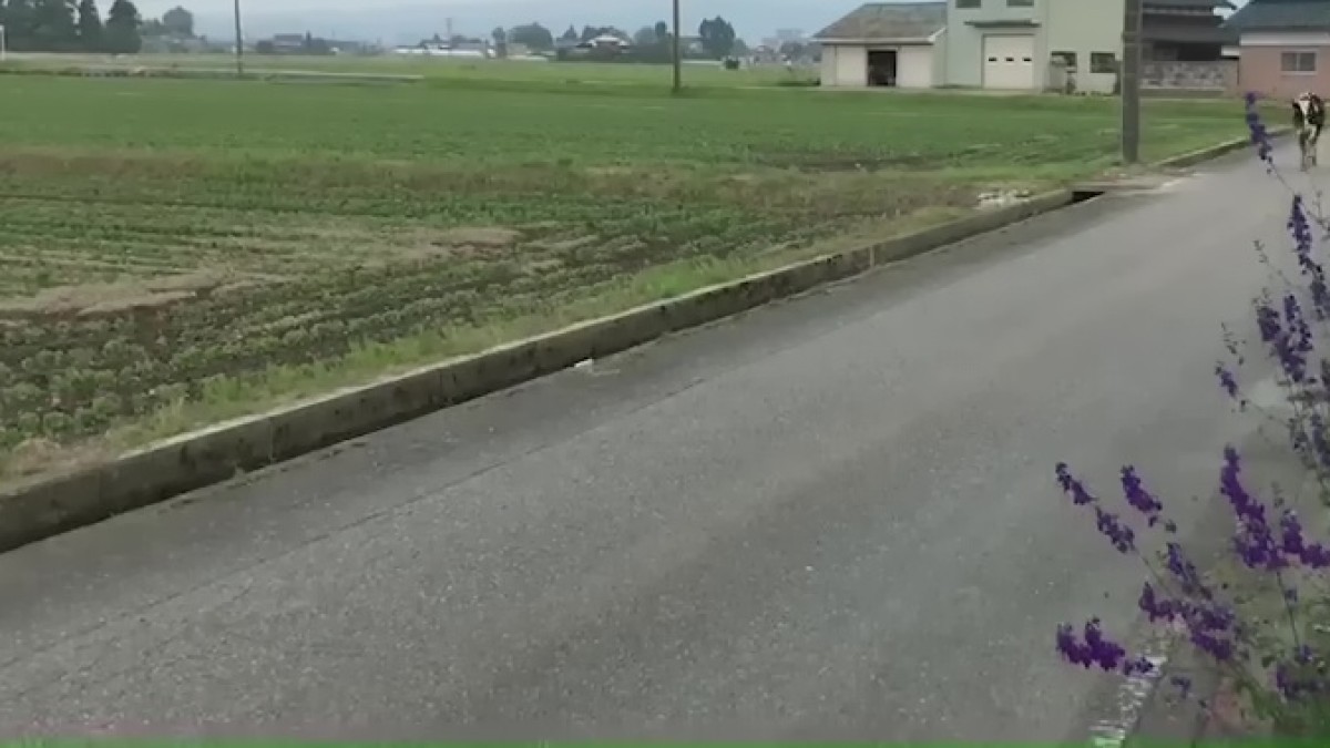 富山在住の女性、家を出てすぐ……「驚くって!」 目撃した“衝撃の光景”に「うっっそぉぉー!!」「これが普通の日常?」(1/3) | 動物 ねとらぼ
