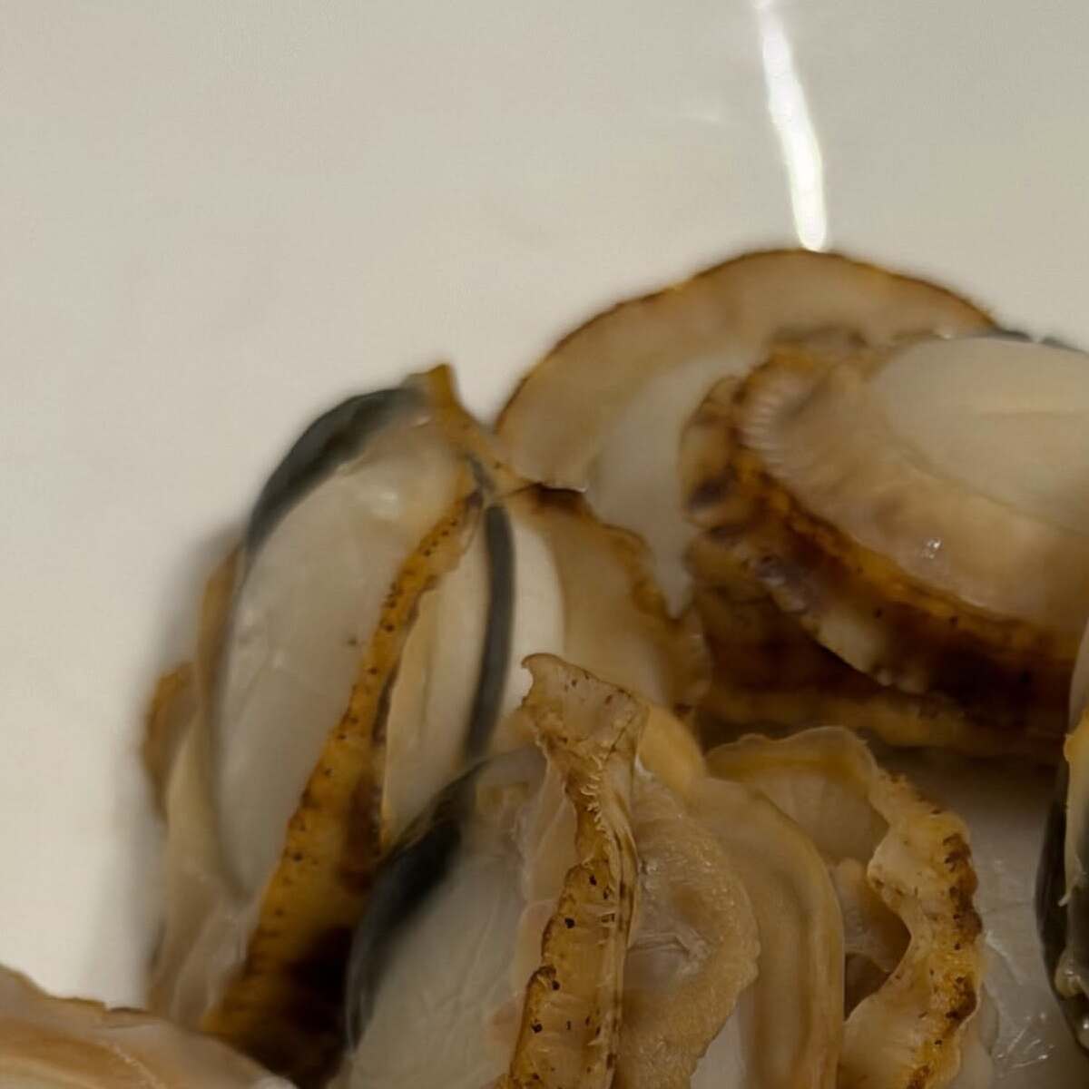 ホタテを食べていたら「ガリガリ!!」→おそるおそる吐き出すと…… 目を疑う光景に「初めて見た」「夢がありますね」(1/3) | その他生き物 ねとらぼ