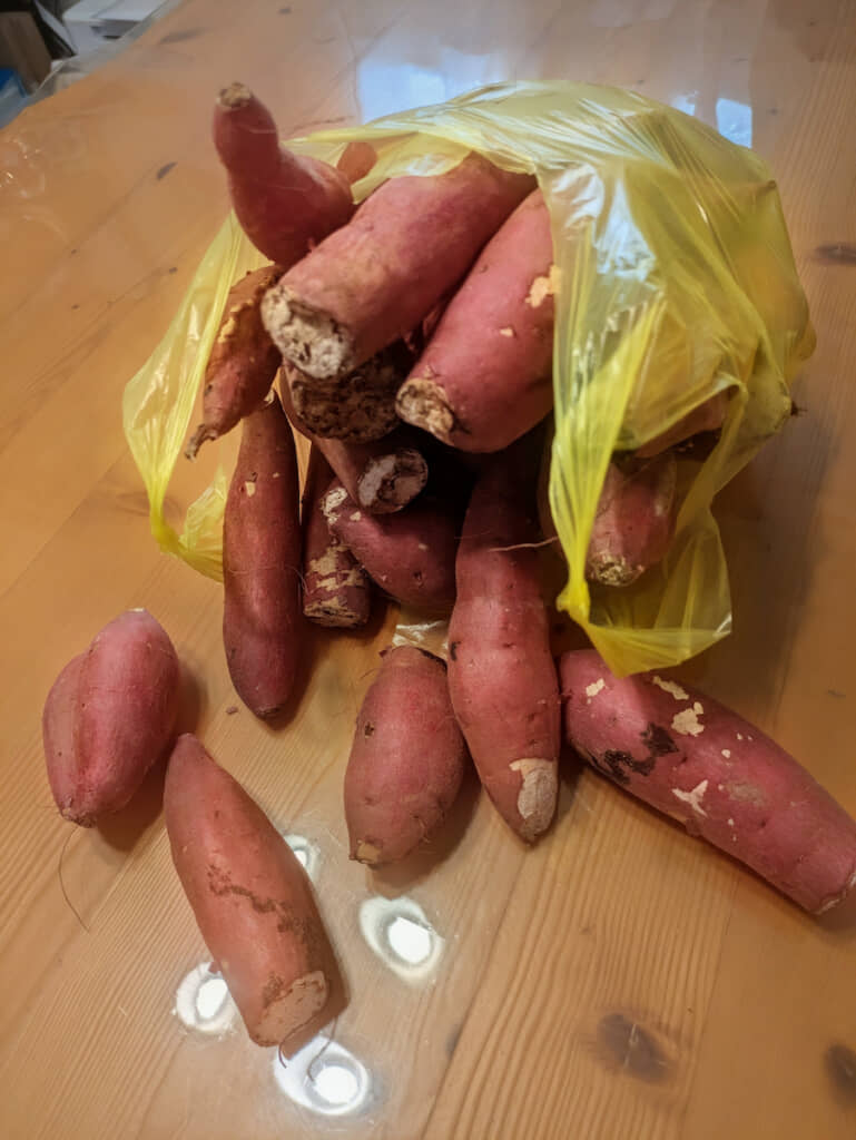 袋からあふれてくるサツマイモ