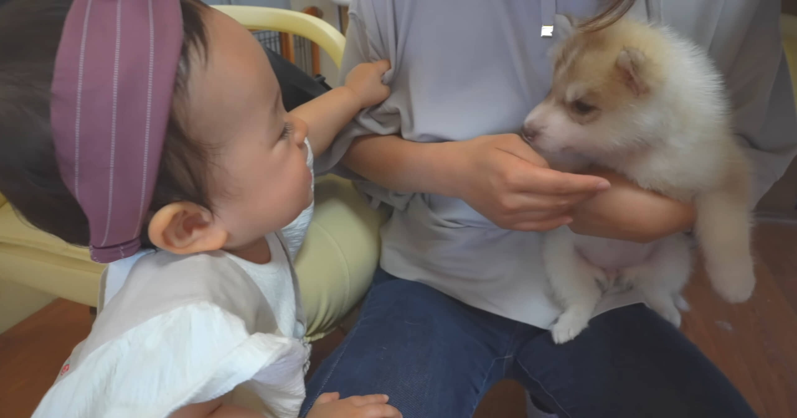 赤ちゃんのころから一緒に育った少女と犬→2年後…… 現在の光景に「胸がいっぱい」「ずっと仲良くね」(1/3) | 犬 ねとらぼ