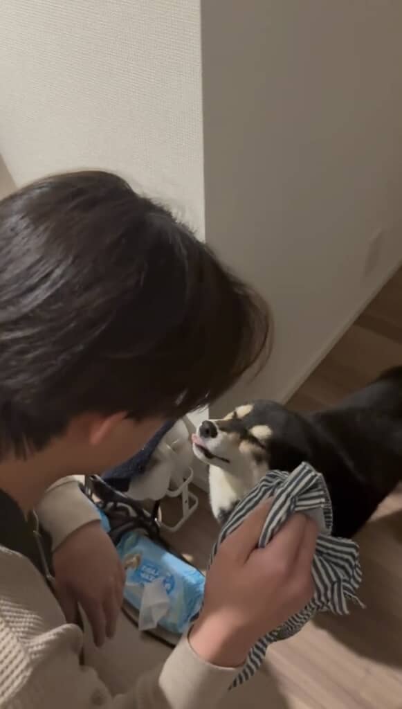 パパさんが注意しますが……