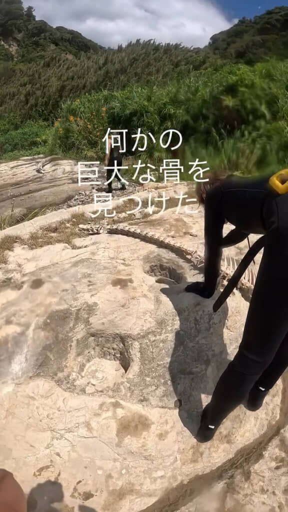 上陸地点の岩場に巨大な骨があった……