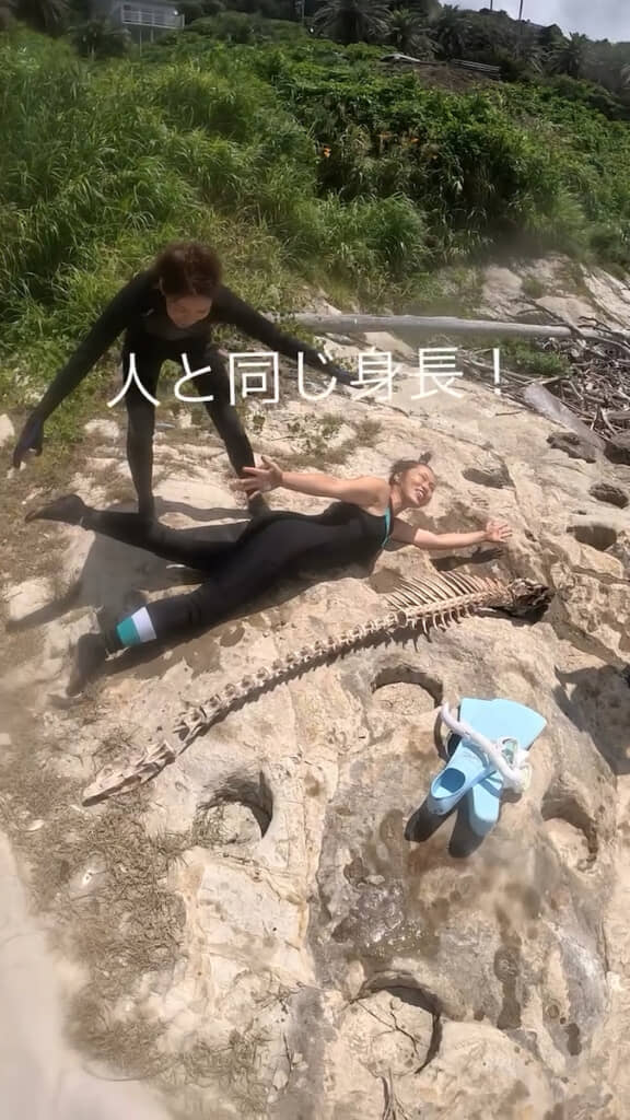女性の背丈より大きい