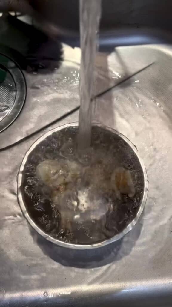水流に乗ってくるくる回るホタテ