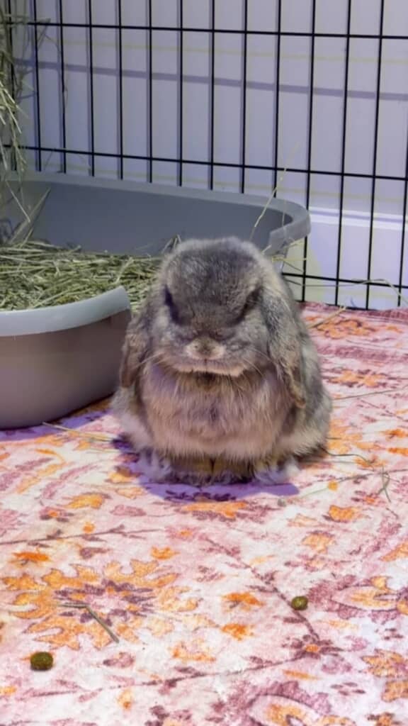 小さな体から伝わってくるものすごい“圧”