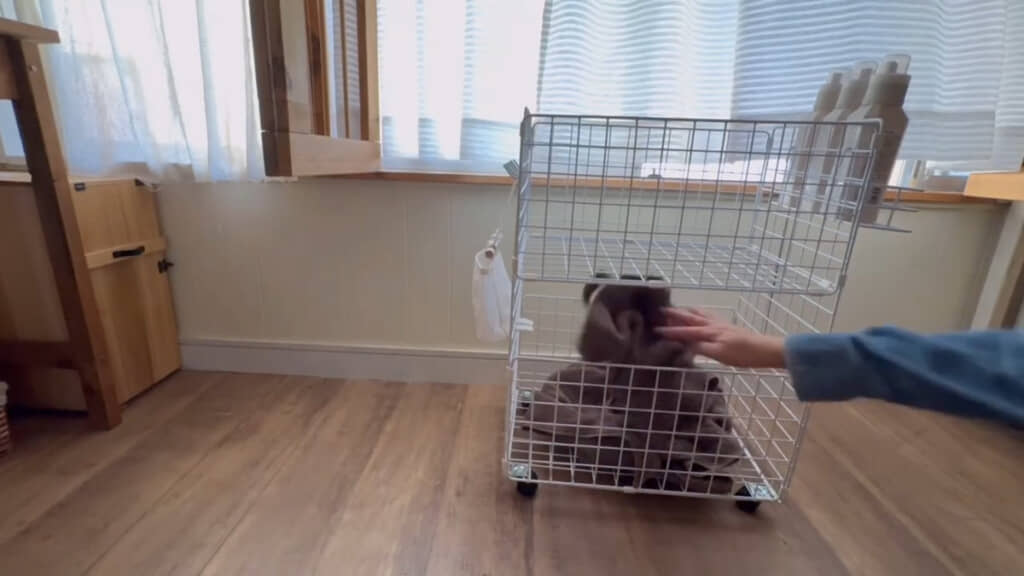 下のカゴにはすき間から入れます