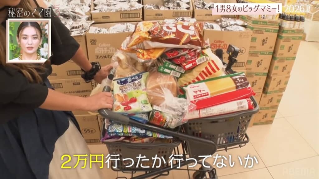 「秘密のママ園」に登場した9人の子どもを育てるシングルマザー・彩花さんの暮らし
