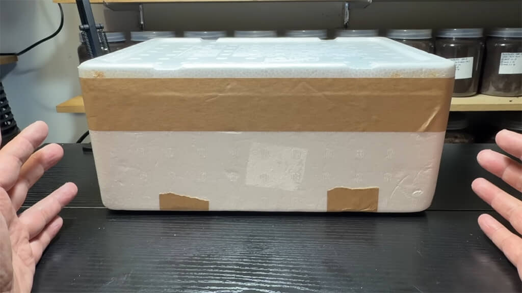 購入した「ゴールドヘラクレス」を開封していきます
