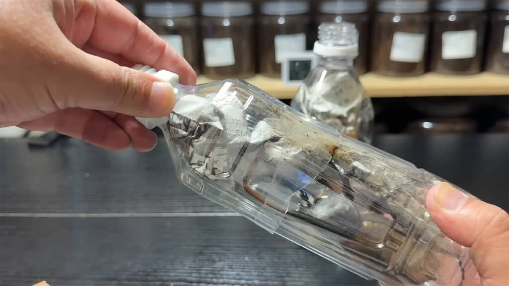 ペットボトルを開けてみると……