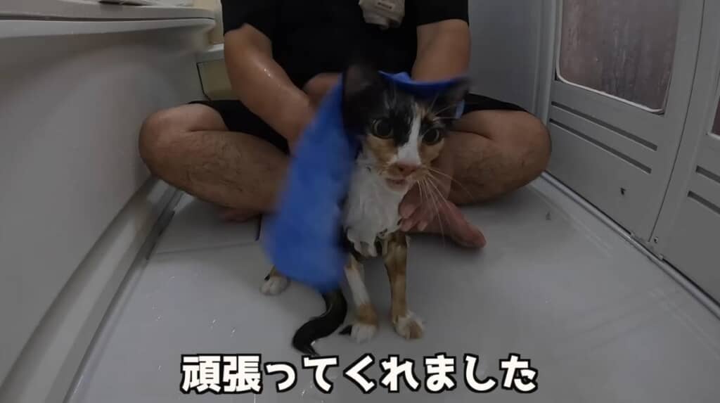 よく頑張りました!