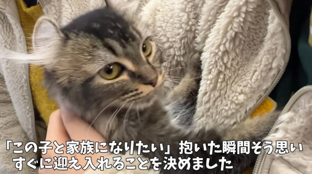 すぐに会いに行き、お迎えが決定