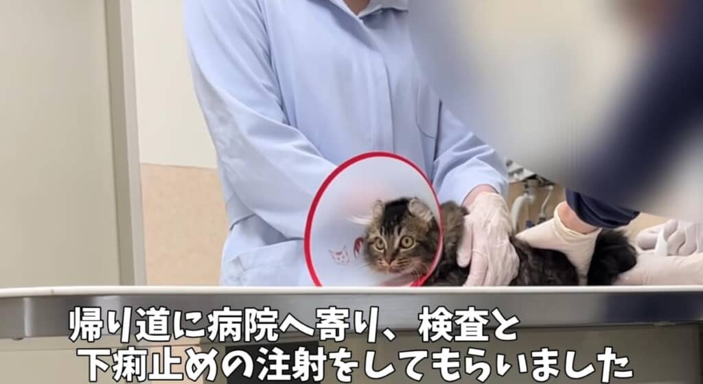 病院で検査と下痢止めの注射を打ってもらいました