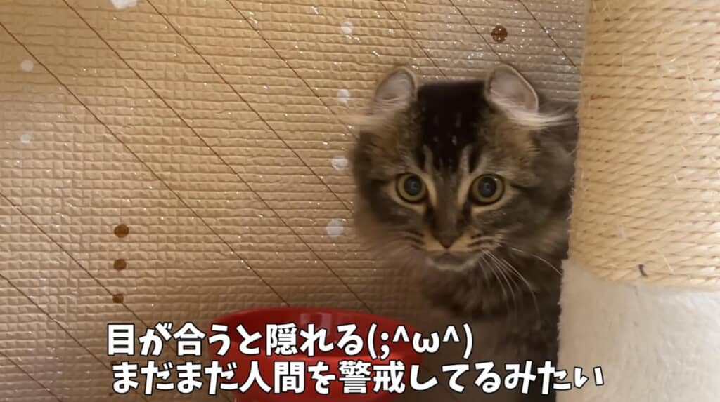 初日は警戒をしている様子