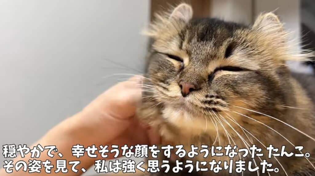モス家との出会いを待っていてくれたのかな？