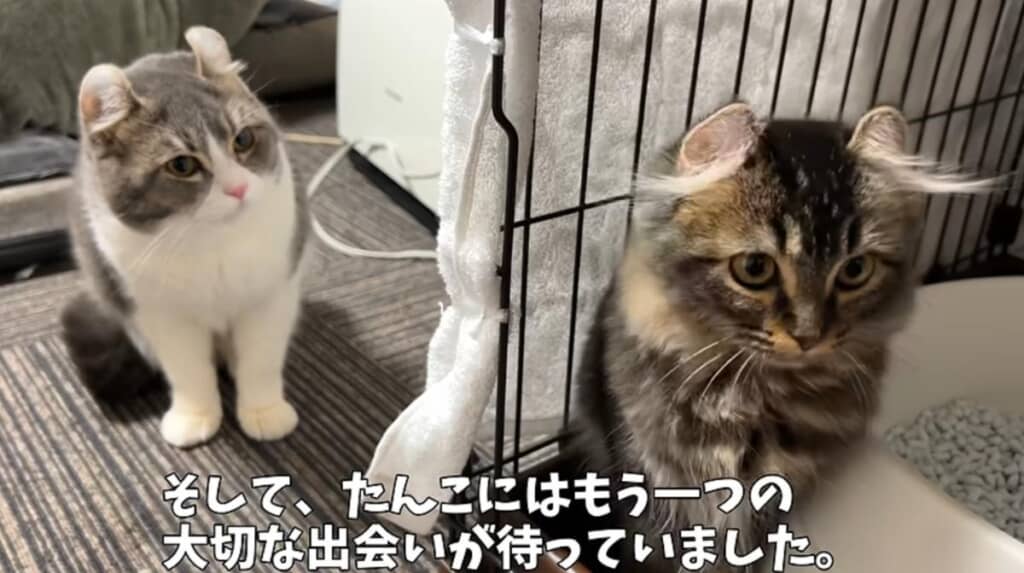 この後もう一つの大切な出会いが