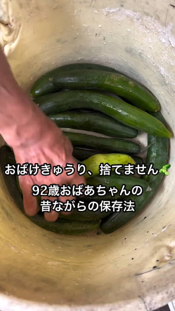 育ち過ぎてしまったおばけキュウリも