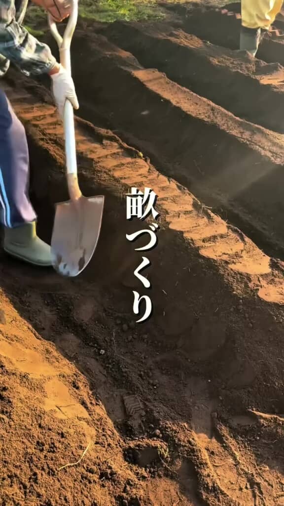 畝を作る様子