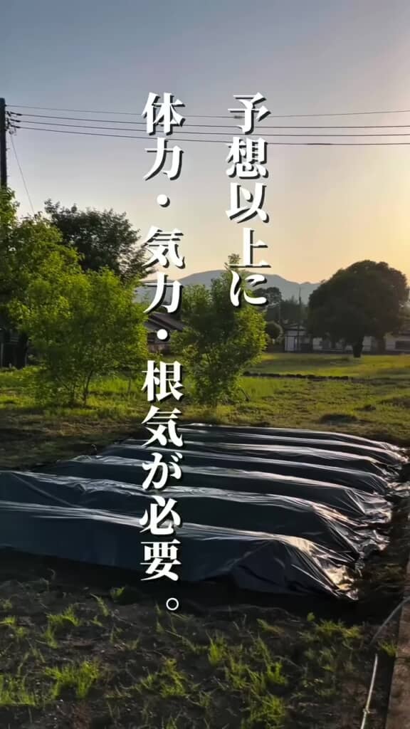 7つの畝