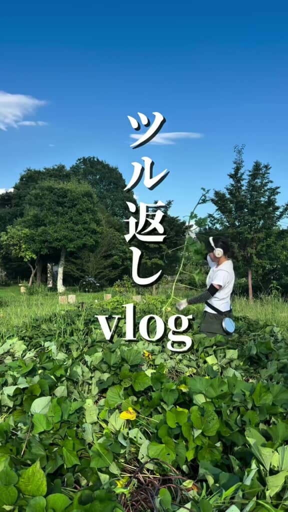 3カ月後の葉っぱだらけになった畑でツル返しする投稿者