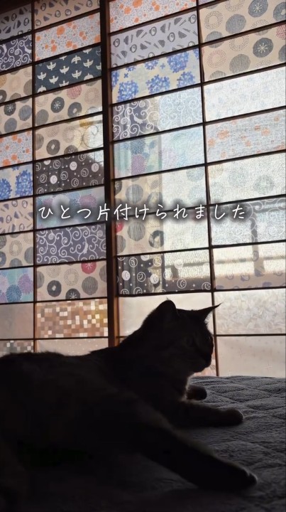 すてきな障子になりました!
